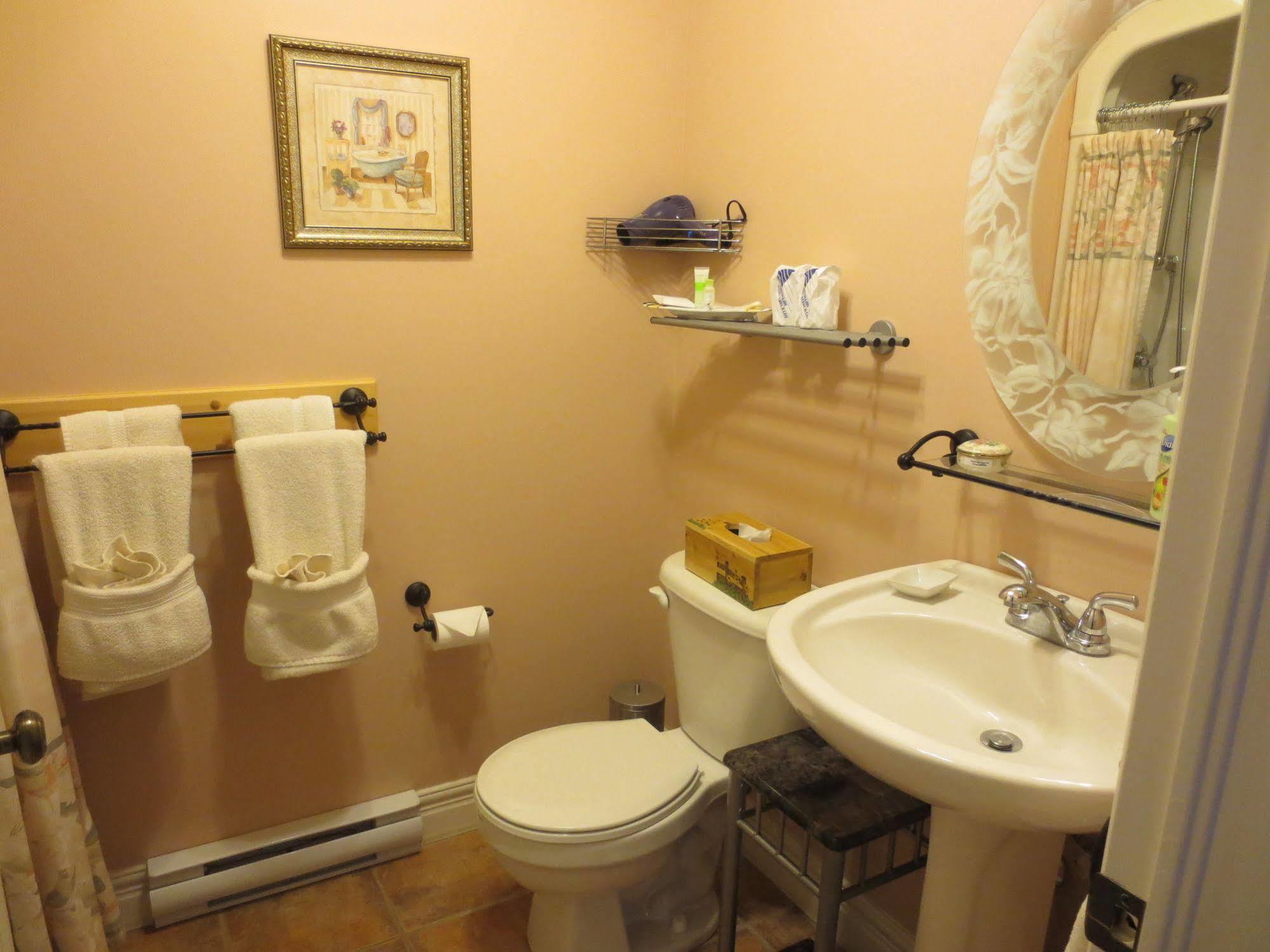 Au Nidaigle Bed & Breakfast Saint-Basile Екстериор снимка