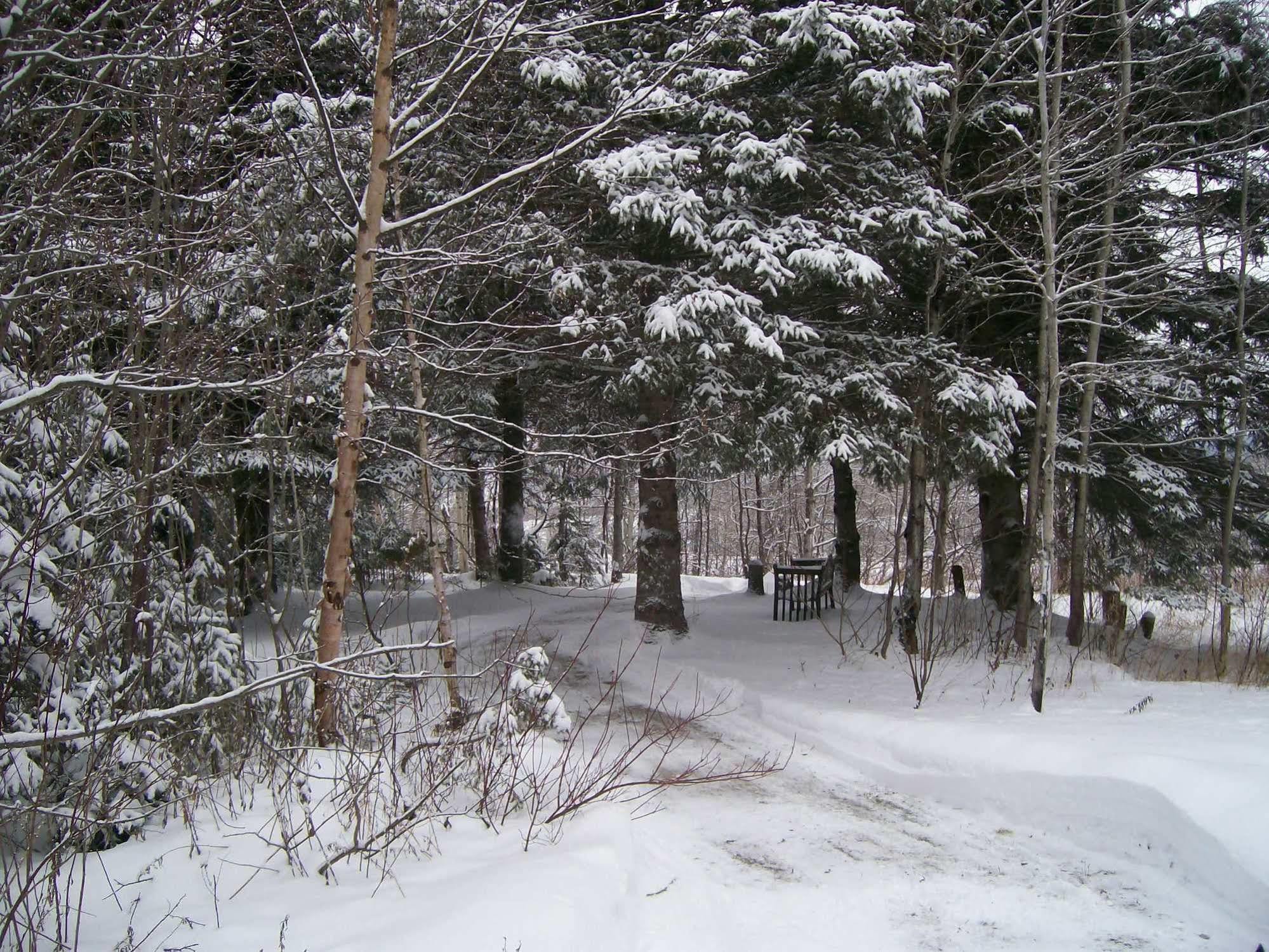 Au Nidaigle Bed & Breakfast Saint-Basile Екстериор снимка