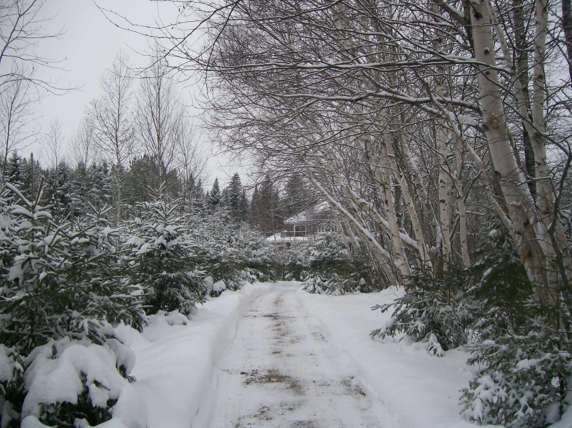 Au Nidaigle Bed & Breakfast Saint-Basile Екстериор снимка